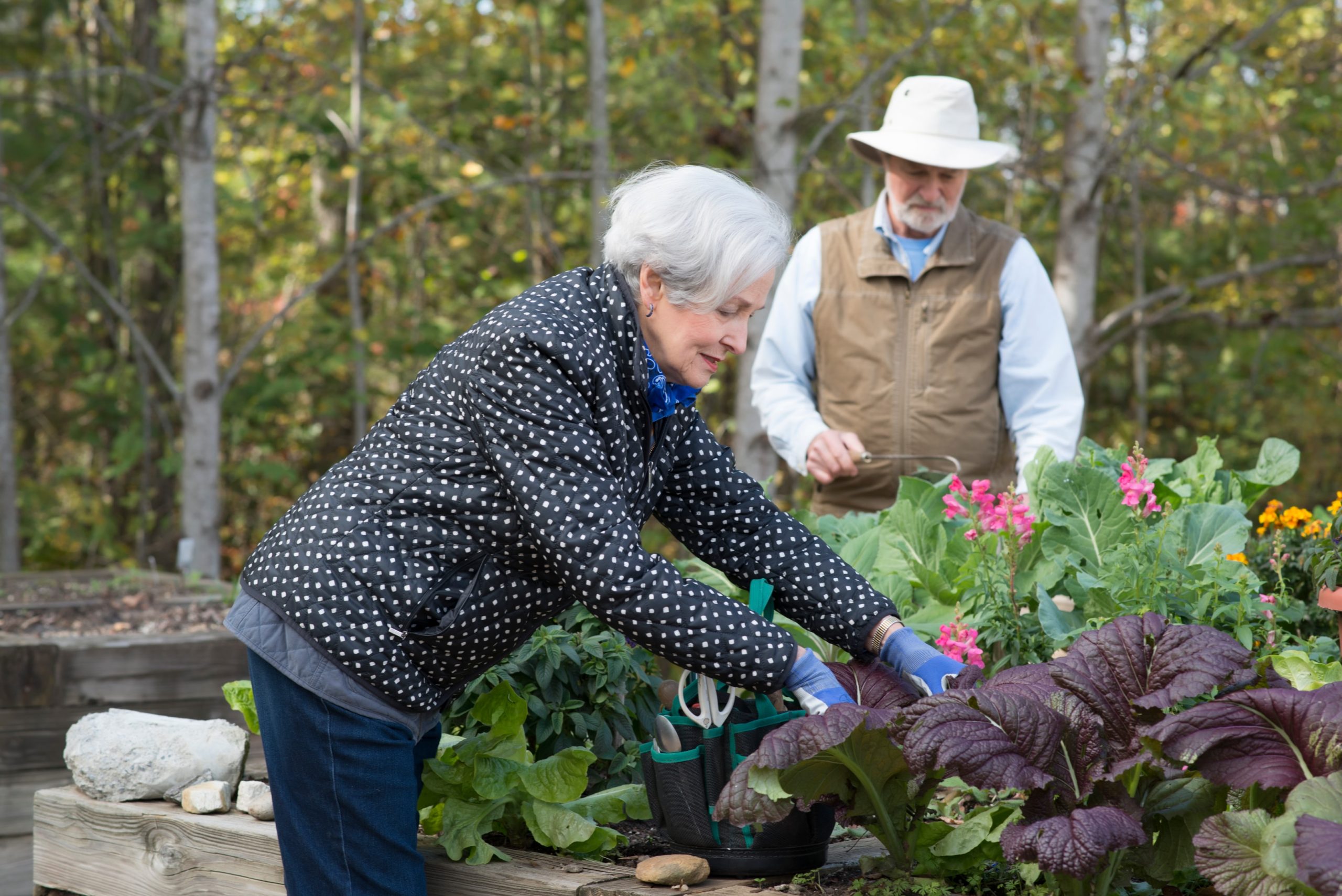 Residents of Ardenwoods Retirement Community in Asheville enjoying the community garden.