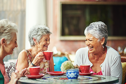 Seniors enjoying each other's company