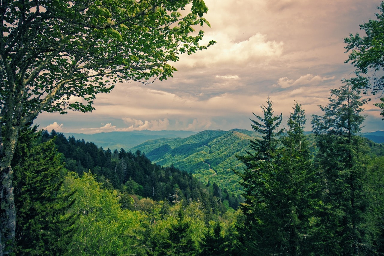 A picturesque view of the Great Smoky Mountains.