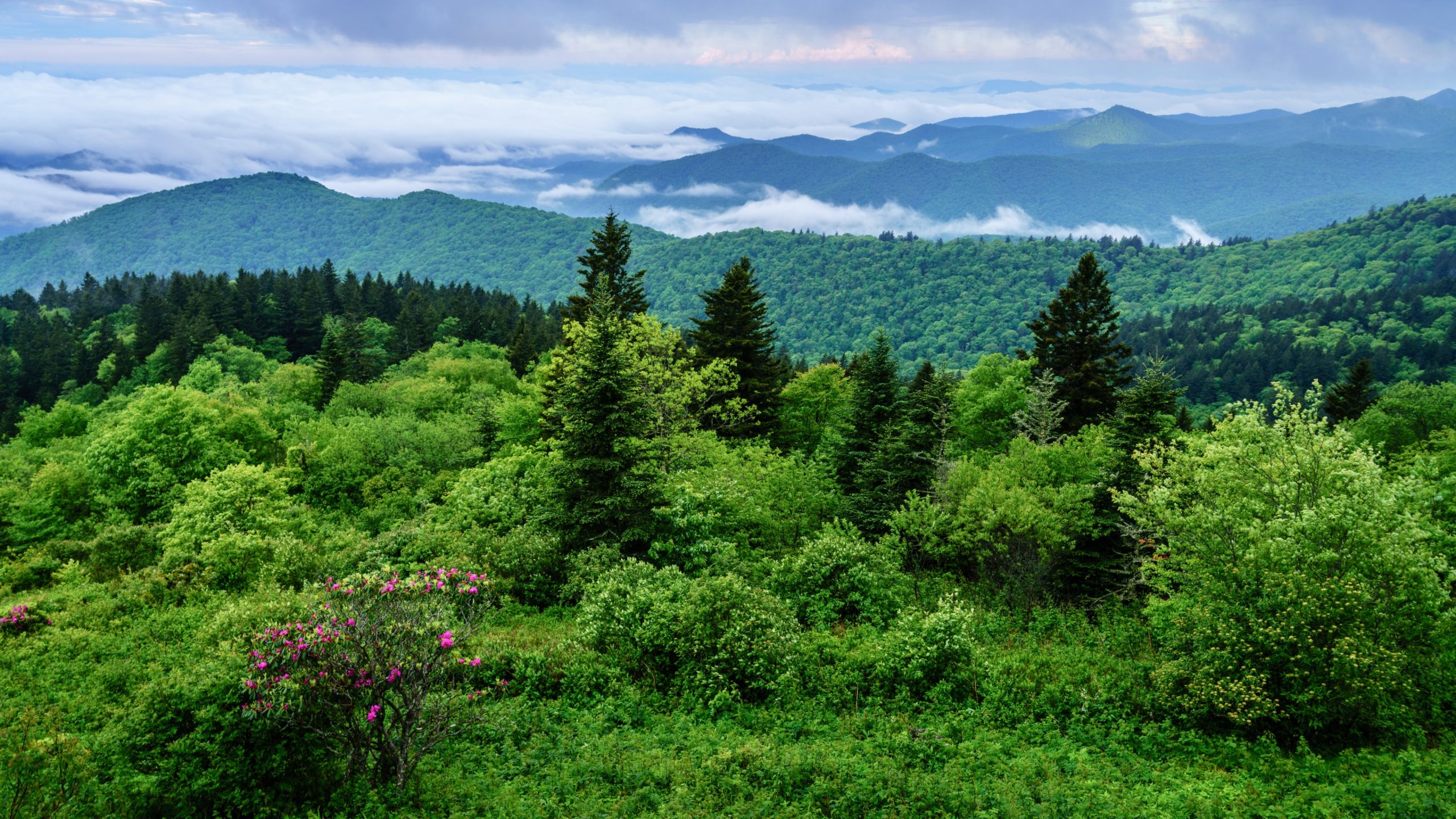 An overview of unique day trips in North Carolina.