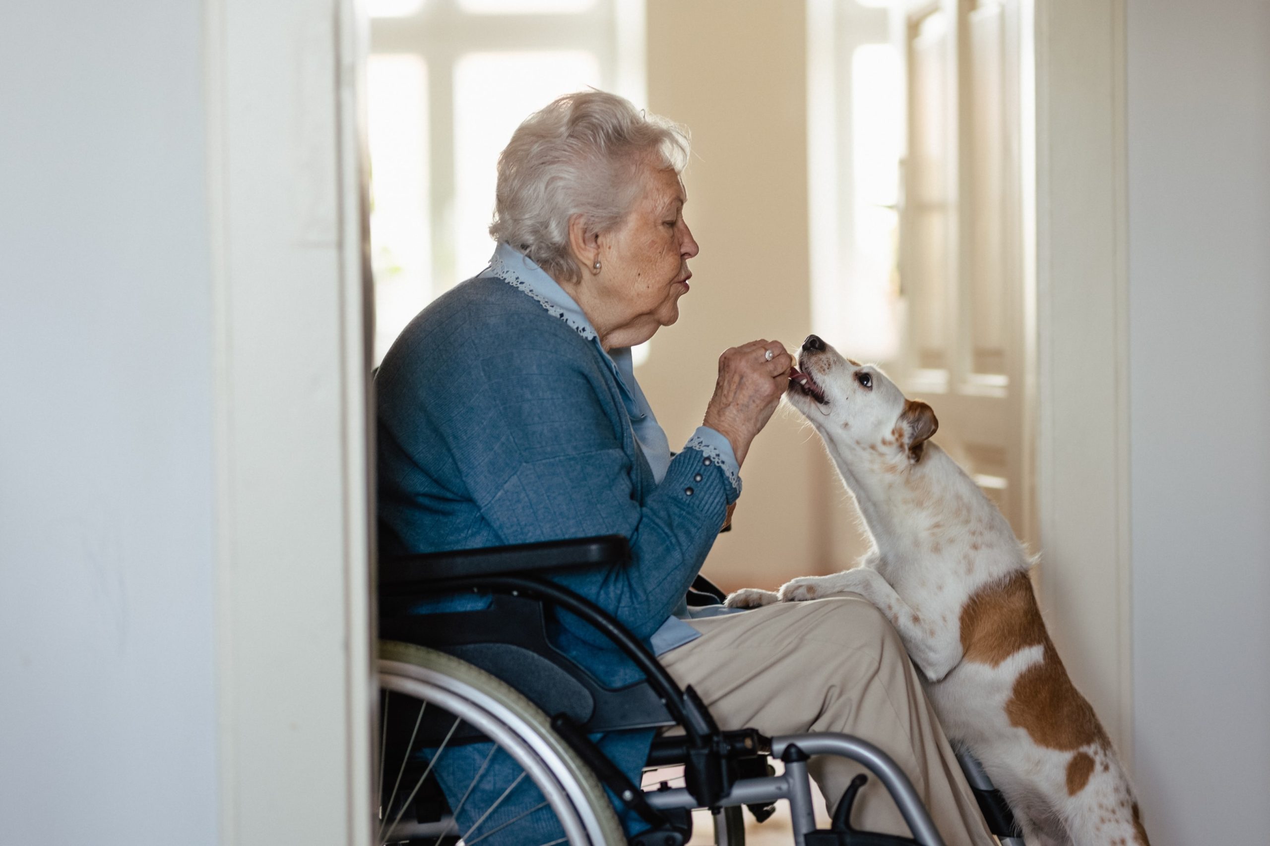 Woman in a wheelchair with her dog